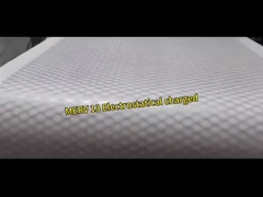 Filtro do ar da gota de baixa pressão pre, meio de filtro Rolls do poliéster de G3 G4